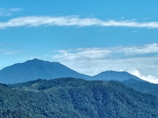 Bukit Sakura